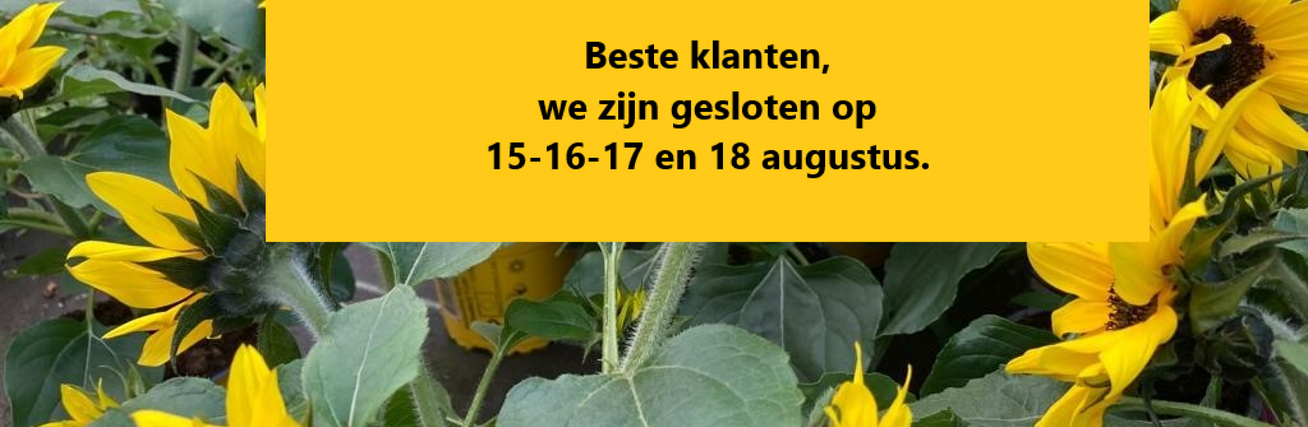 15 augustus