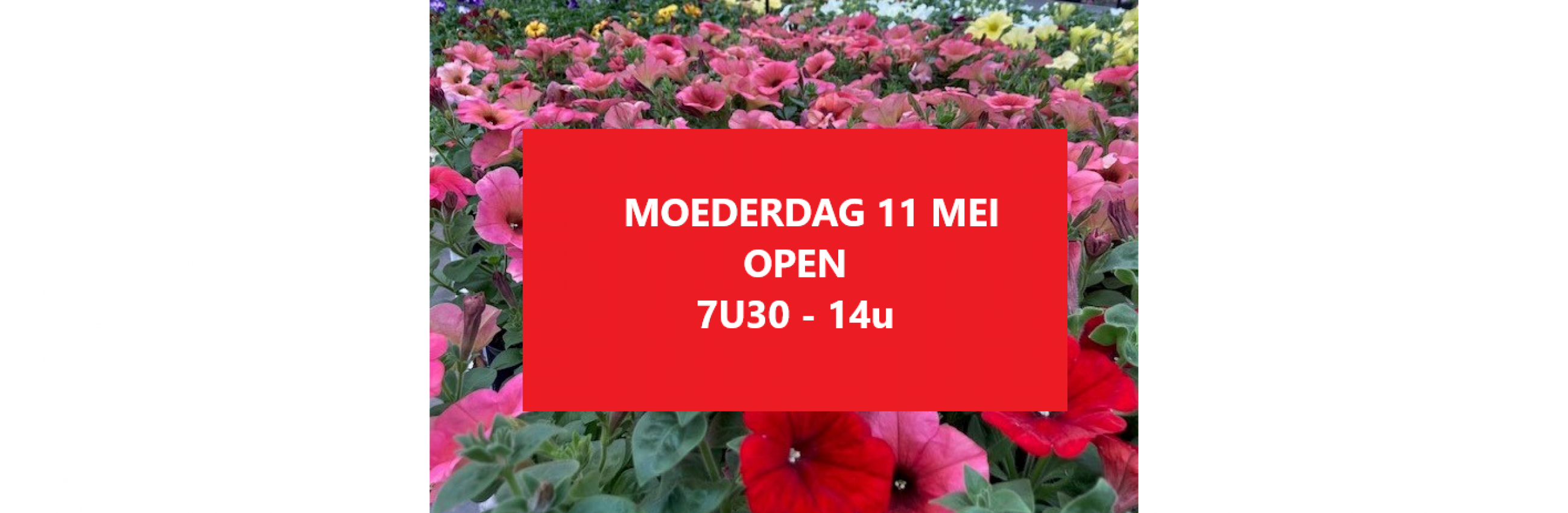 moederdag
