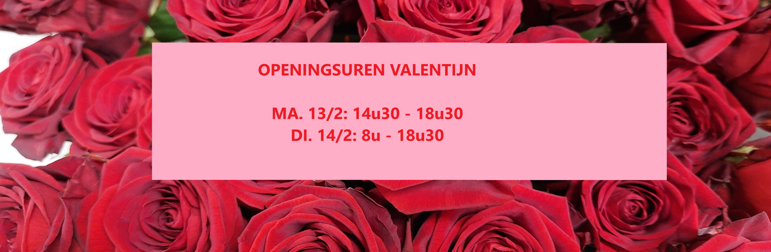 valentijn