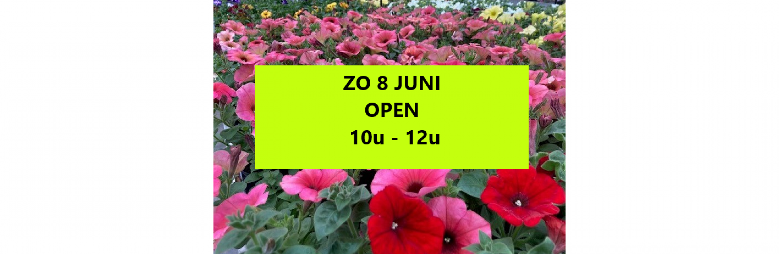 pinksteren